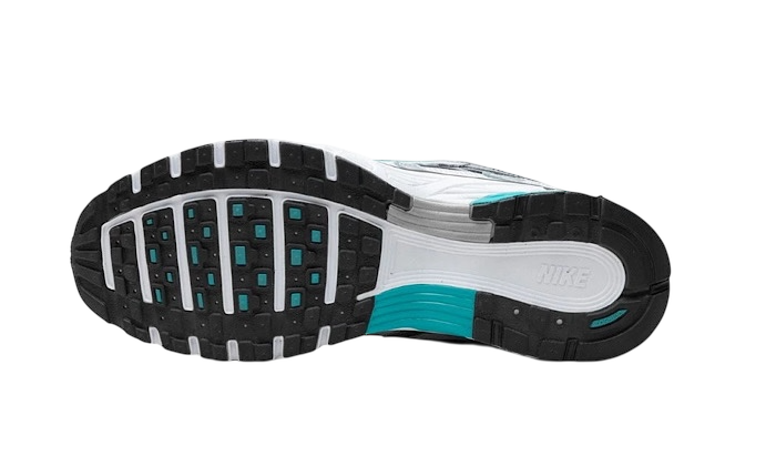 Nike P-6000 Kaktus