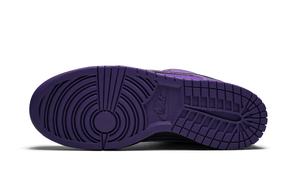 Nike SB Dunk Low Concepts Purple Lobster
